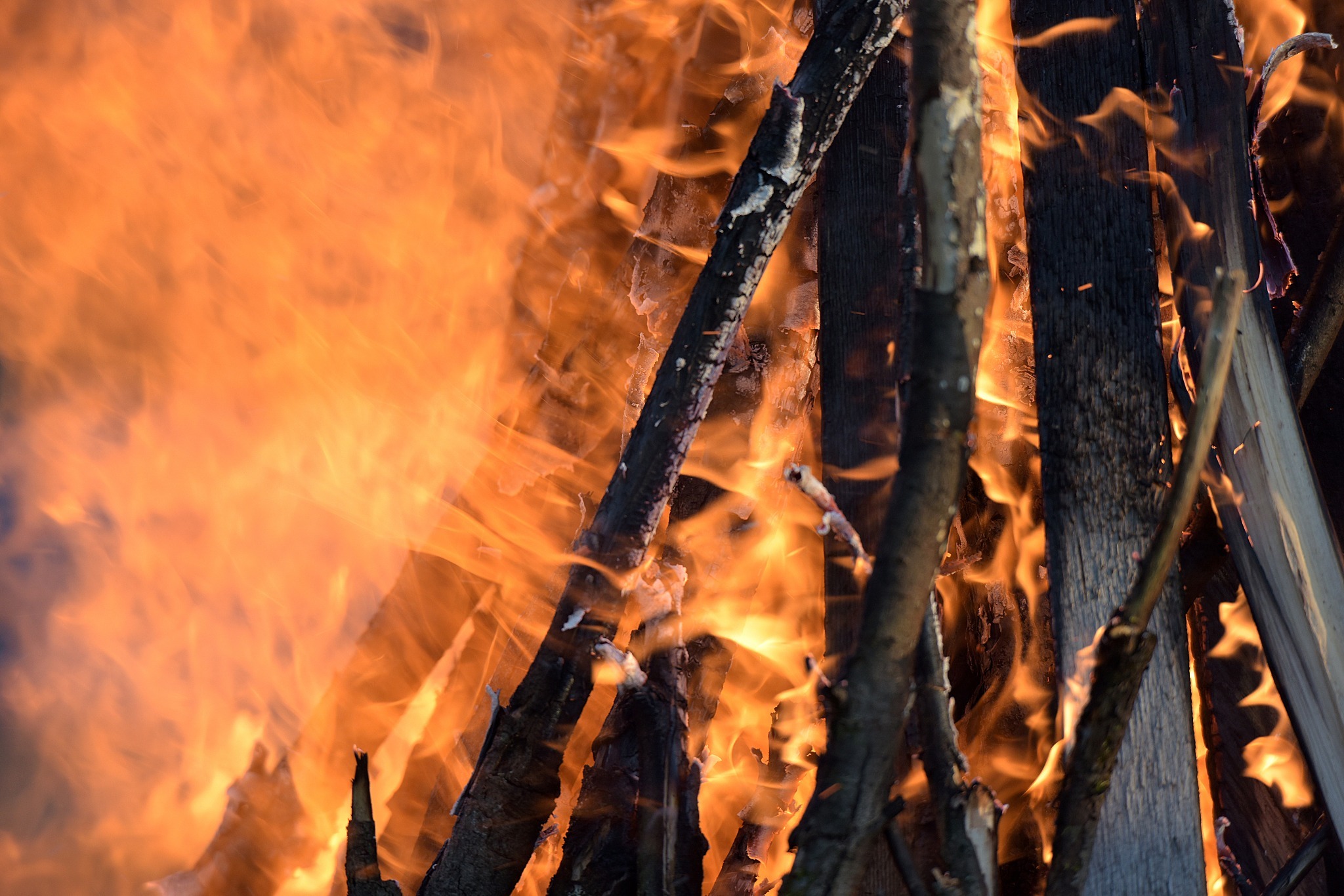 A closeup of a bonfire to celebrate Beltane. A closeup of a bonfire to celebrate Beltane.