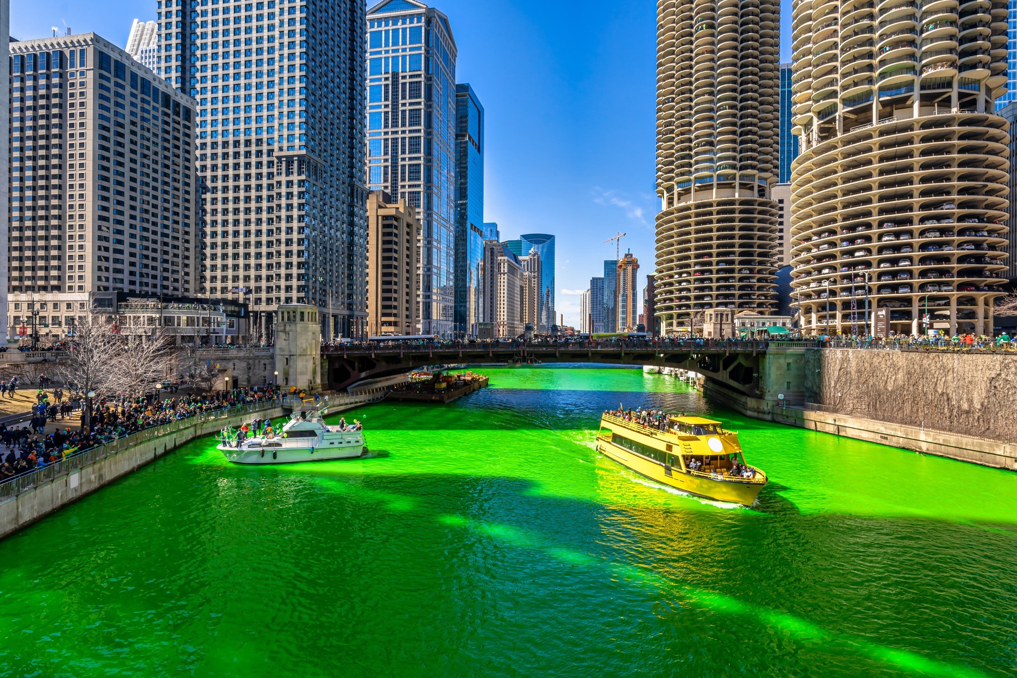 The Chicago river dyed green to celebrate St. Patrick's Day The Chicago river dyed green to celebrate St. Patrick's Day