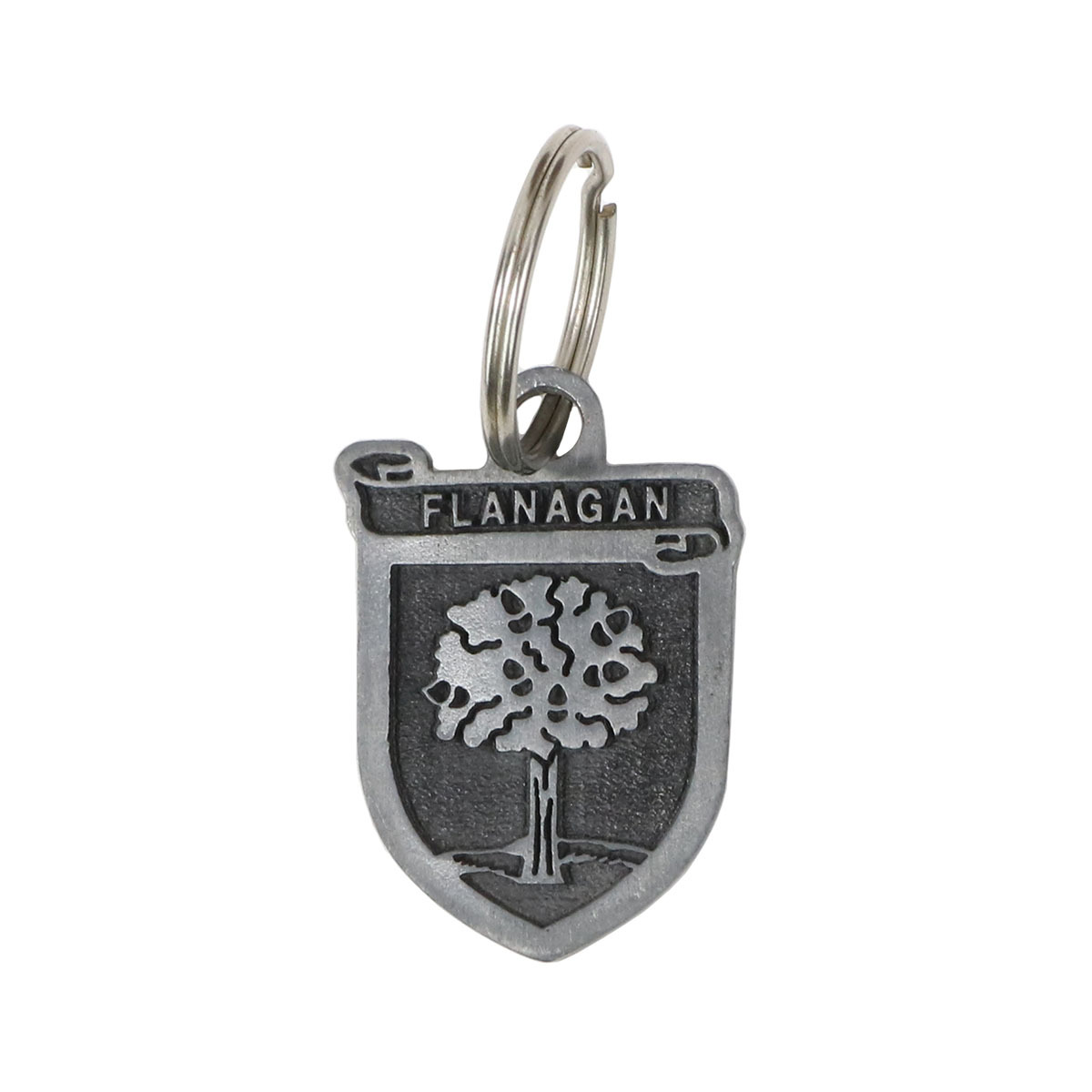 Coat of Arms Keychain Coat of Arms Keychain