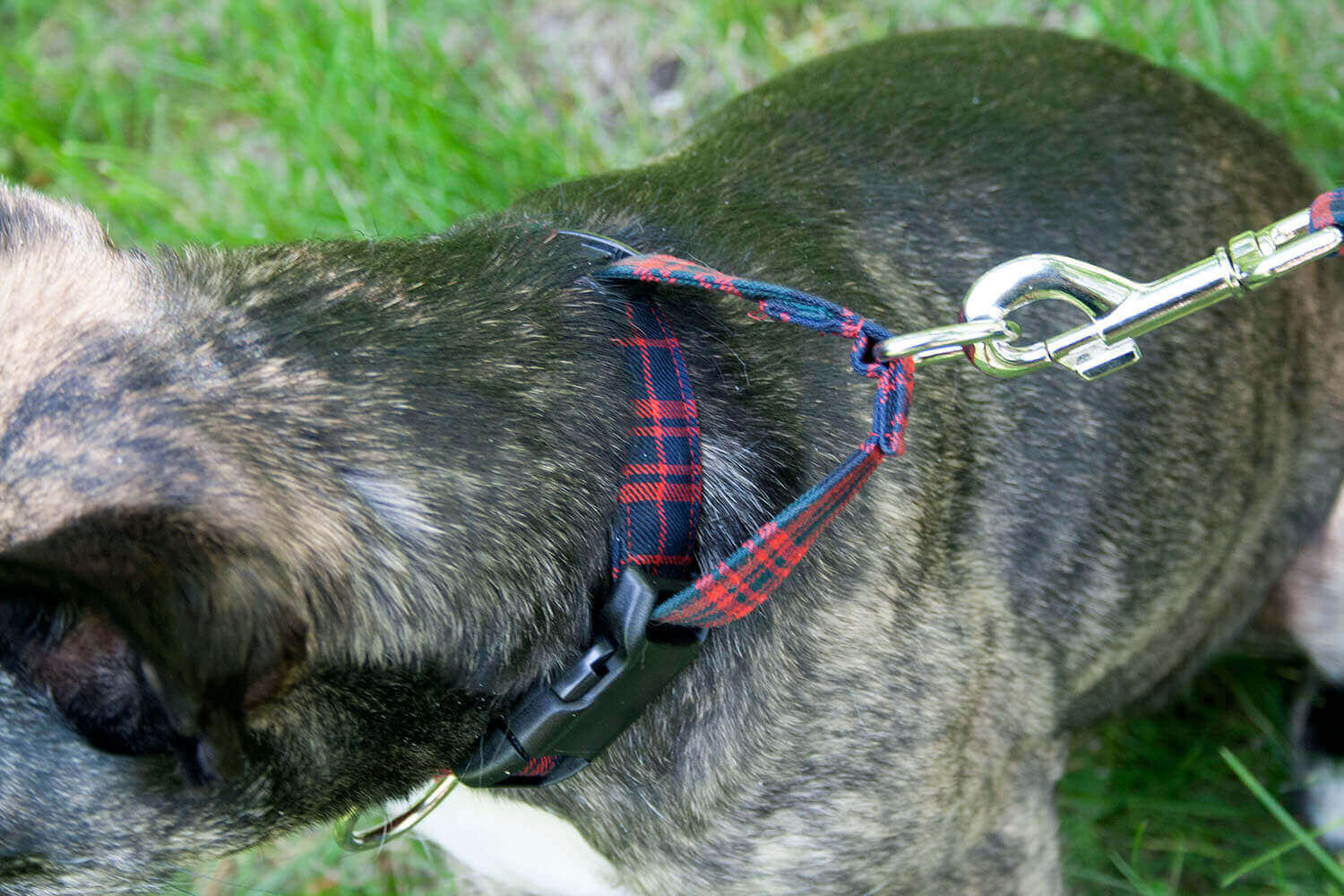 Poly-Viscose 1-Inch Tartan Dog Collar and Leash Set