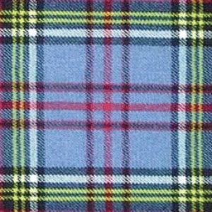 Thumbnail for a Anderson Modern tartan