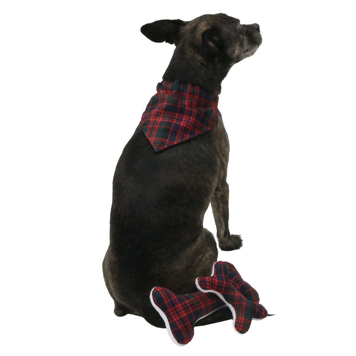 Scottish Dog Bouncy Puppets springy wooden home decoration Tartan hat scarf 