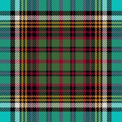 Thumbnail for a Anderson Muted tartan