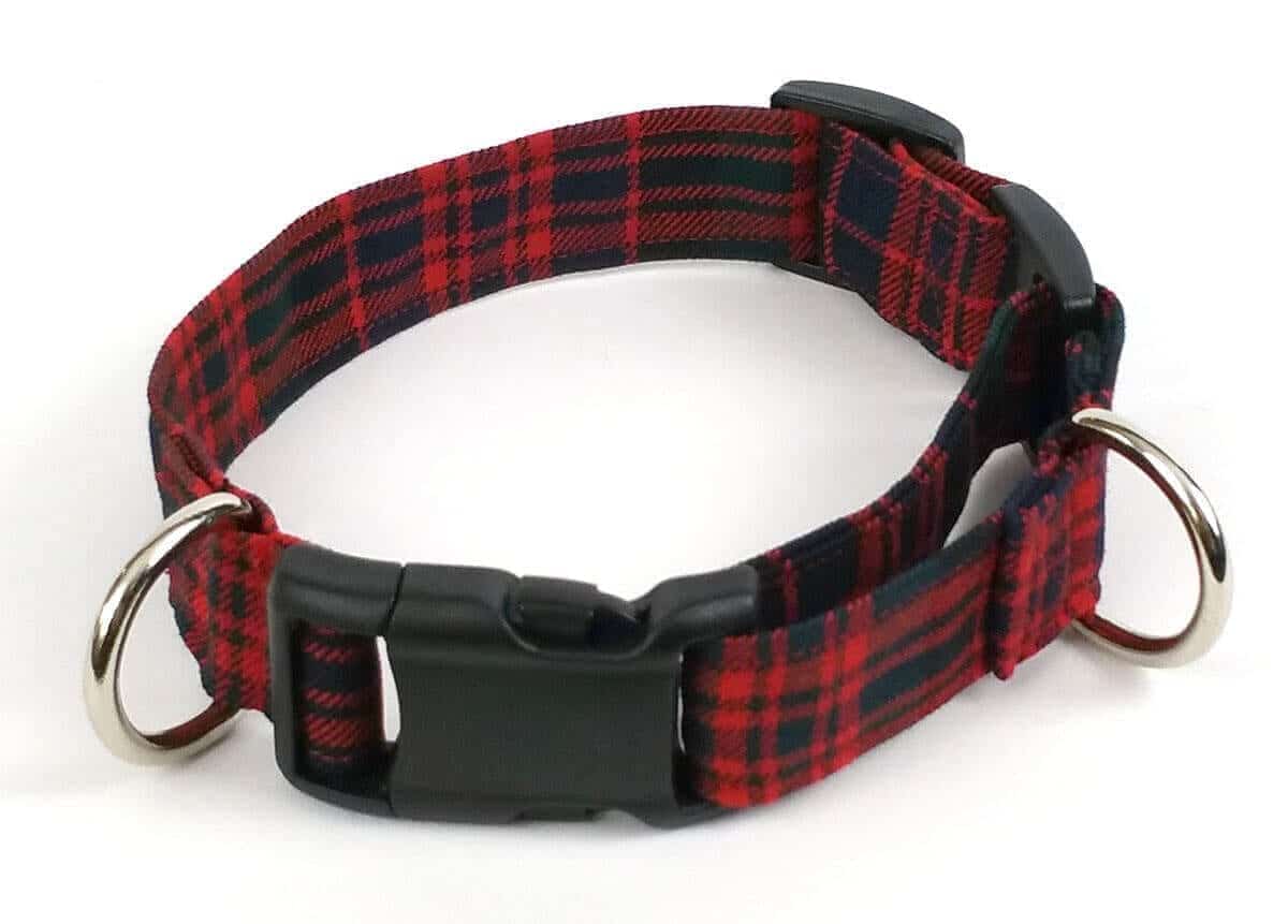 A red tartan dog collar from the Celtic Croft store.